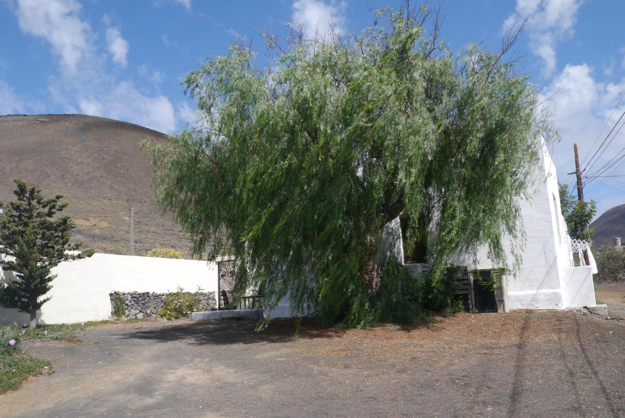 Casa Olga Villa Máguez Eksteriør billede