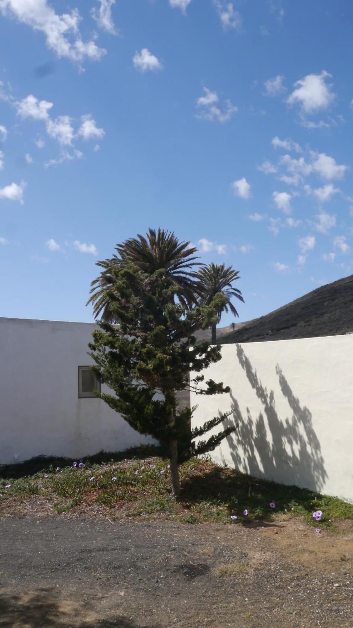 Casa Olga Villa Máguez Eksteriør billede